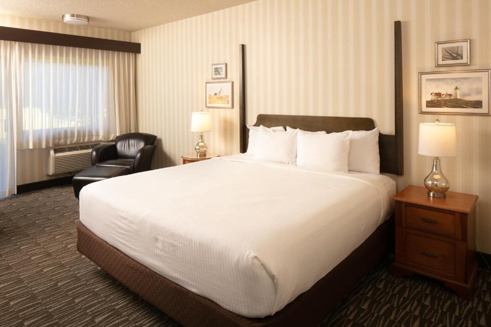 Premium King Room interior